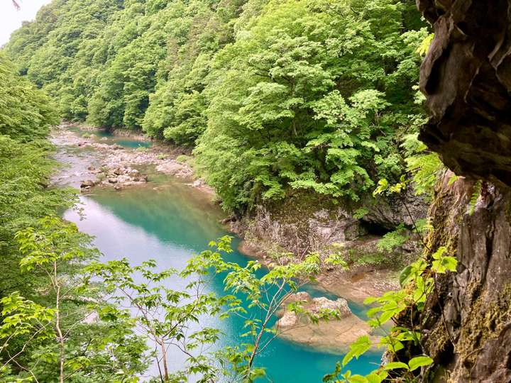 A serene river with clear turquoise water winds through a lush green forest. Rocky outcrops and cliffs border the river, and dense trees cover the landscape. The scene appears tranquil and untouched, with vibrant greenery and natural beauty.