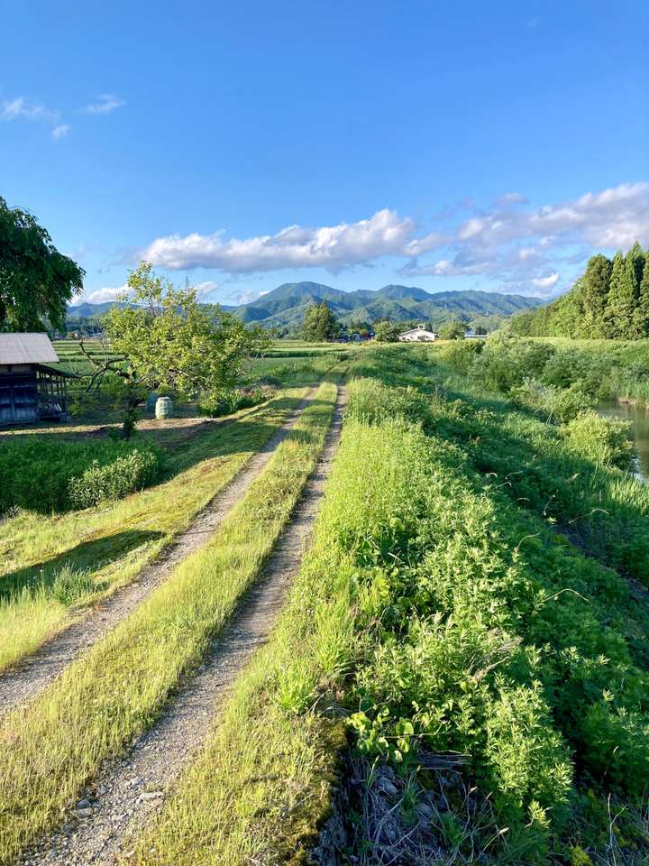 A scenic rural landscape featuring a dirt path lined with green grass and dense foliage on both sides, leading towards distant mountains under a blue sky. A small farmhouse and a few trees are visible to the left of the path.